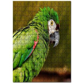 Cakapuzzle Yeşil Papağan Flu Arkaplan Mdf 255 Parça Puzzle