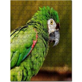 Cakapuzzle Yeşil Papağan Flu Arkaplan Mdf 255 Parça Puzzle