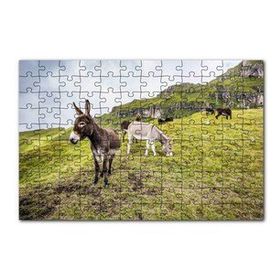 Cakapuzzle Yeşil Tepelerde Otlayan Eşekler 120 Parça Ahşap Puzzle