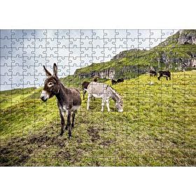 Cakapuzzle Yeşil Tepelerde Otlayan Eşekler 120 Parça Ahşap Puzzle