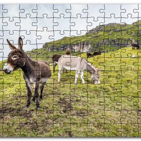 Cakapuzzle Yeşil Tepelerde Otlayan Eşekler Mdf 1000 Parça Puzzle