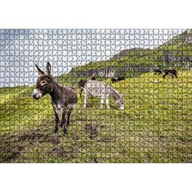 Cakapuzzle Yeşil Tepelerde Otlayan Eşekler Mdf 1000 Parça Puzzle