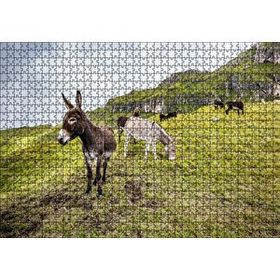 Cakapuzzle Yeşil Tepelerde Otlayan Eşekler Mdf 1000 Parça Puzzle