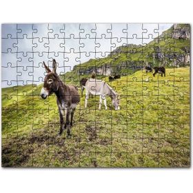 Cakapuzzle Yeşil Tepelerde Otlayan Eşekler Mdf 500 Parça Puzzle