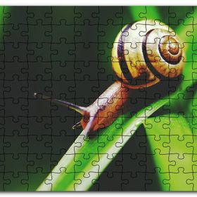 Cakapuzzle Yeşil Yaprak Üzerindeki Salyangoz Yakın Çekim Mdf 1000 Parça Puzzle