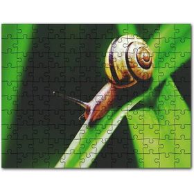 Cakapuzzle Yeşil Yaprak Üzerindeki Salyangoz Yakın Çekim Mdf 1000 Parça Puzzle