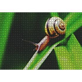 Cakapuzzle Yeşil Yaprak Üzerindeki Salyangoz Yakın Çekim Mdf 1000 Parça Puzzle