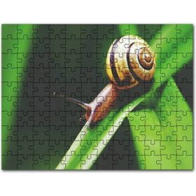 Cakapuzzle Yeşil Yaprak Üzerindeki Salyangoz Yakın Çekim Mdf 255 Parça Puzzle
