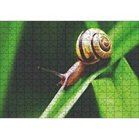 Cakapuzzle Yeşil Yaprak Üzerindeki Salyangoz Yakın Çekim Mdf 255 Parça Puzzle