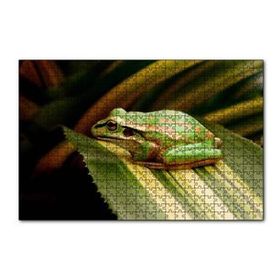 Cakapuzzle Yeşil Yaprak Üzerindeki Yeşil Kurbağa 120 Parça Ahşap Puzzle
