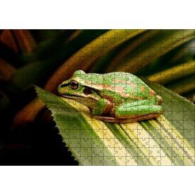 Cakapuzzle Yeşil Yaprak Üzerindeki Yeşil Kurbağa 120 Parça Ahşap Puzzle