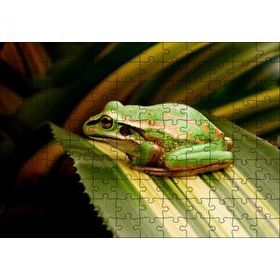 Cakapuzzle Yeşil Yaprak Üzerindeki Yeşil Kurbağa 120 Parça Ahşap Puzzle