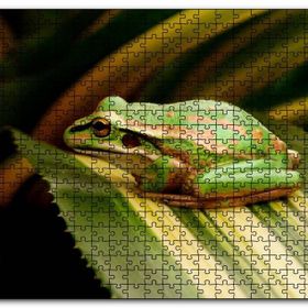 Cakapuzzle Yeşil Yaprak Üzerindeki Yeşil Kurbağa Mdf 120 Parça Puzzle