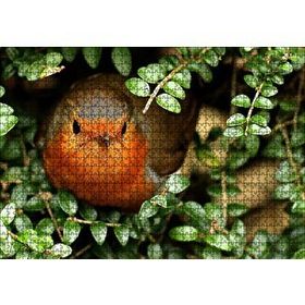 Cakapuzzle Yeşil Yapraklar Arasındaki Kızıl Kuş 1000 Parça Puzzle