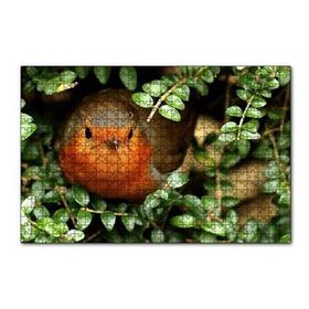 Cakapuzzle Yeşil Yapraklar Arasındaki Kızıl Kuş 120 Parça Ahşap Puzzle