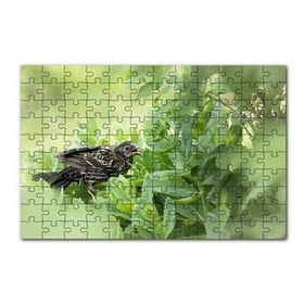 Cakapuzzle Yeşil Yaprakların Arasındaki Bıldırcın 120 Parça Ahşap Puzzle