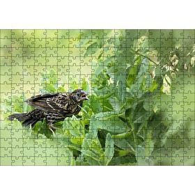 Cakapuzzle Yeşil Yaprakların Arasındaki Bıldırcın 120 Parça Ahşap Puzzle