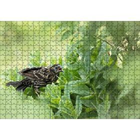 Cakapuzzle Yeşil Yaprakların Arasındaki Bıldırcın Mdf 500 Parça Puzzle