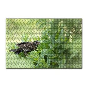 Cakapuzzle Yeşillikler İçinde Sığırcık Kuşu Görseli 120 Parça Ahşap Puzzle