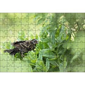 Cakapuzzle Yeşillikler İçinde Sığırcık Kuşu Görseli 120 Parça Ahşap Puzzle