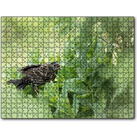 Cakapuzzle Yeşillikler İçinde Sığırcık Kuşu Görseli Mdf 120 Parça Puzzle