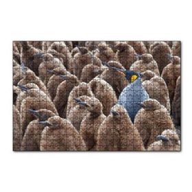 Cakapuzzle Yetişkin Kral Penguven ve Yavru Penguenler Görseli 120 Parça Ahşap Puzzle