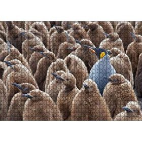 Cakapuzzle Yetişkin Kral Penguven ve Yavru Penguenler Görseli 120 Parça Ahşap Puzzle