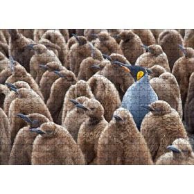 Cakapuzzle Yetişkin Kral Penguven ve Yavru Penguenler Görseli 120 Parça Ahşap Puzzle