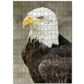 Cakapuzzle Yırtıcı Kara Kartal Hayvan Doğa Puzzle