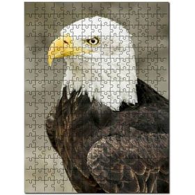 Cakapuzzle Yırtıcı Kara Kartal Hayvan Doğa Puzzle