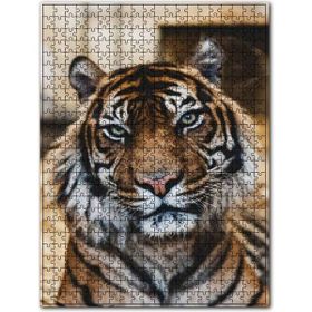 Cakapuzzle Yorgun Kaplan Yakın Çekim Ahşap 1000 Parça Puzzle