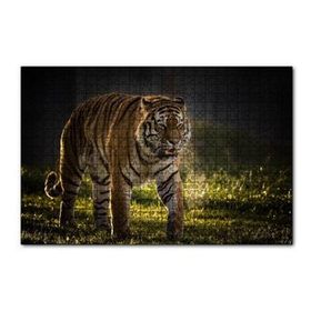Cakapuzzle Yorkshire Vahşi Yaşam Parkı Kaplan Vladimir 120 Parça Ahşap Puzzle