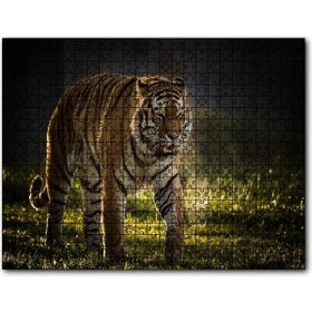 Cakapuzzle Yorkshire Vahşi Yaşam Parkı Kaplan Vladimir 255 Parça Puzzle