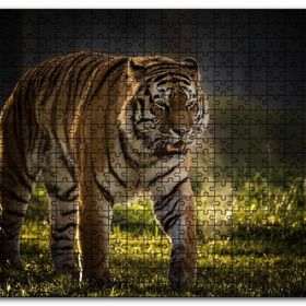 Cakapuzzle Yorkshire Vahşi Yaşam Parkı Kaplan Vladimir Mdf 120 Parça Puzzle