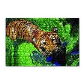 Cakapuzzle Yosunlu Suda Kaplan 120 Parça Ahşap Puzzle