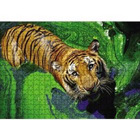 Cakapuzzle Yosunlu Suda Kaplan 120 Parça Ahşap Puzzle