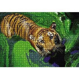 Cakapuzzle Yosunlu Suda Kaplan Ahşap 1000 Parça Puzzle