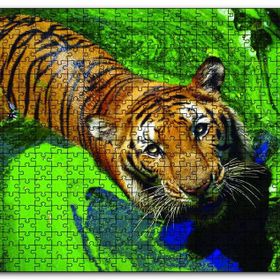 Cakapuzzle Yosunlu Suda Kaplan Ahşap 255 Parça Puzzle