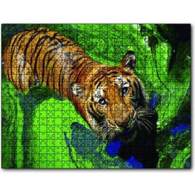 Cakapuzzle Yosunlu Suda Kaplan Ahşap 255 Parça Puzzle