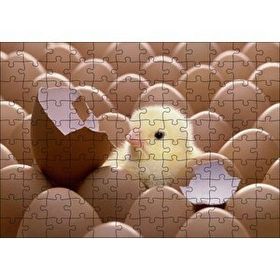 Cakapuzzle Yumurtalar Ve Kırık Yumurta İle Sarı Civciv 120 Parça Ahşap Puzzle