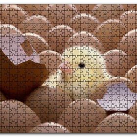 Cakapuzzle Yumurtalar ve Kırık Yumurta İle Sarı Civciv Mdf 1000 Parça Puzzle