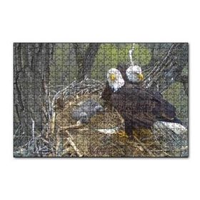 Cakapuzzle Yuvalarında Kartallar ve Yavruları Puzzle