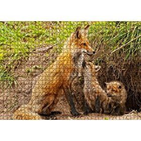 Cakapuzzle Yuvanın Girişinde Anne Tilki ve Yavruları 120 Parça Ahşap Puzzle