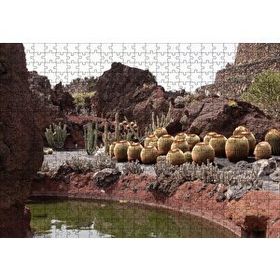 Cakapuzzle Yuvarlak Kaktüsler ve Kayalar 120 Parça Ahşap Puzzle
