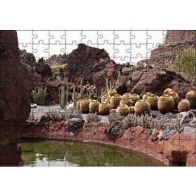 Cakapuzzle Yuvarlak Kaktüsler ve Kayalar 120 Parça Ahşap Puzzle