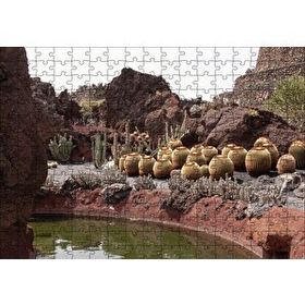 Cakapuzzle Yuvarlak Kaktüsler ve Kayalar 120 Parça Ahşap Puzzle