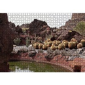 Cakapuzzle Yuvarlak Kaktüsler ve Kayalar 120 Parça Ahşap Puzzle