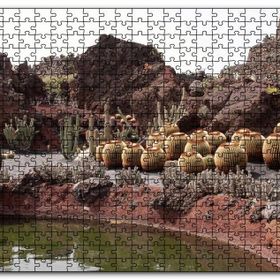 Cakapuzzle Yuvarlak Kaktüsler ve Kayalar Mdf 1000 Parça Puzzle