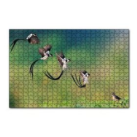 Cakapuzzle Zaman Atlamalı Fotoğrafçılık Kuş Görseli 120 Parça Ahşap Puzzle