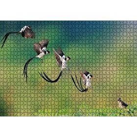 Cakapuzzle Zaman Atlamalı Fotoğrafçılık Kuş Görseli 120 Parça Ahşap Puzzle